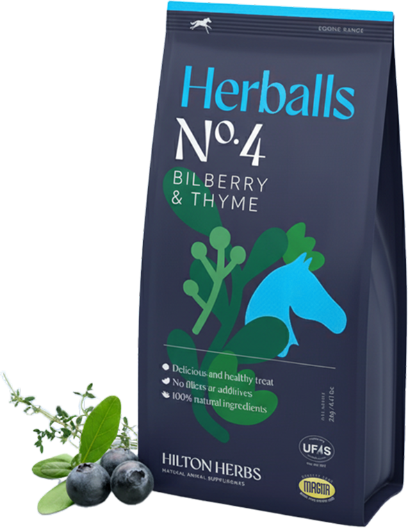 The Little Knitting Company